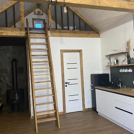 Lehit Apartment Slavske