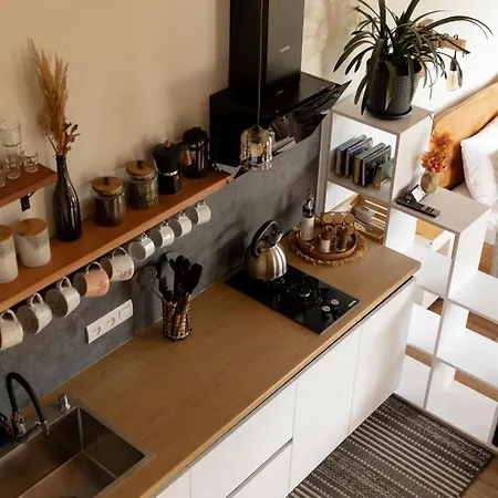 Apartment Lehit Slavske